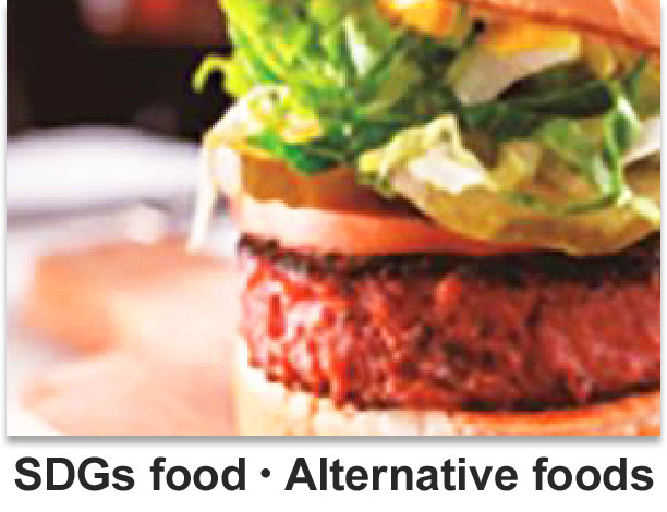 SDGs food・Alternative foods